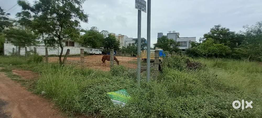 THANGAVELU NEAR AVINASHI ROAD NORTH FACE DTPSITE 13.0 CENT FOR SALE