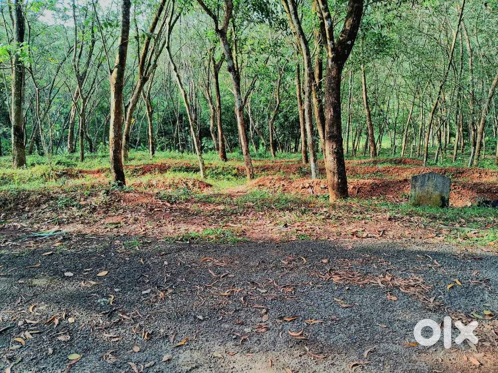 15 cent വസ്തു വില്പനയ്ക്ക്