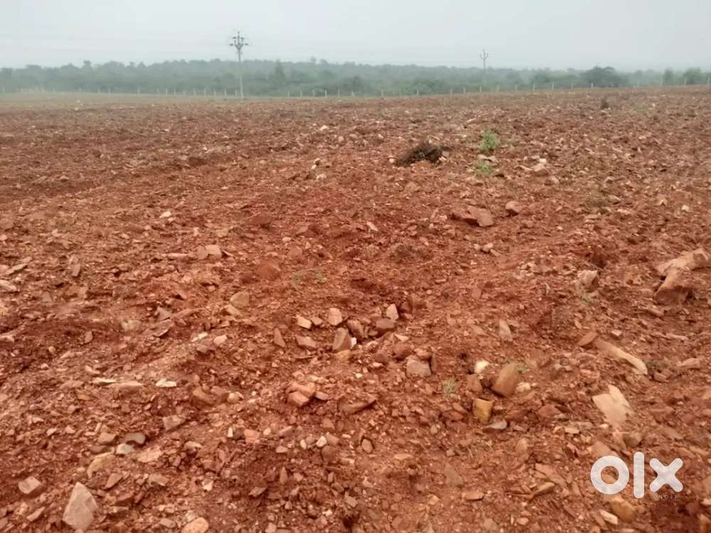 1acer Agriculture land for sale