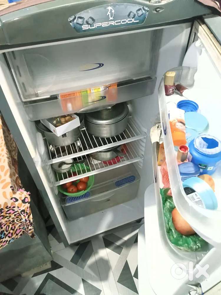 Freez single door