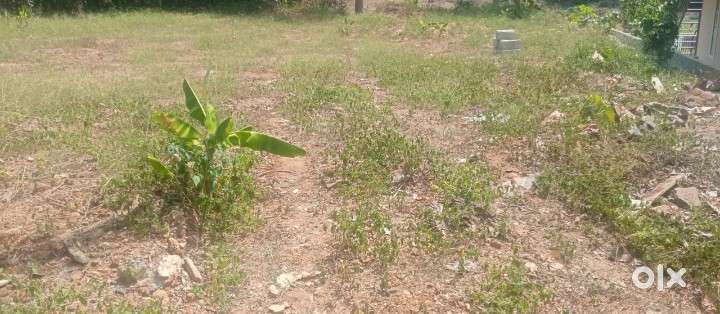 20 cent plot for sale near pala