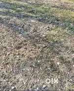 Comercial plot on road 8lakh per biswa
