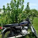 Perfect bike money urgent good bike