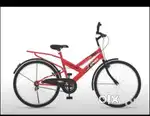 Gang cycle New