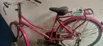 Lady cycle