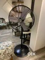 Stylish Fan