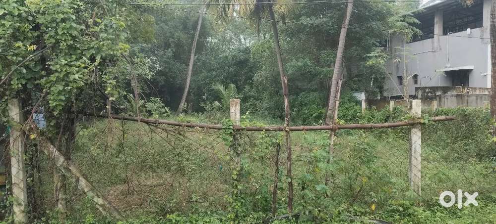 அம்மையப்பன் பள்ளிவாசல் தெரு