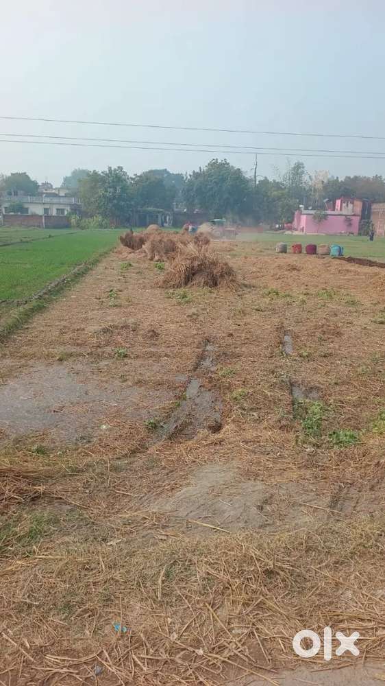 जुनैद गंज बाजार के पास मकान या गोदाम के लिए जमीन बिकाऊ है