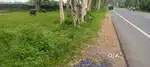 Shops and plot on alwar-malakhera-rajgarh Mega Highway