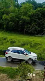 Ford Ecosport 2014 Diesel 55555 Km Driven