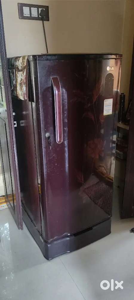 Fridge for home