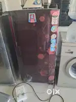 Less used fridge and washing machine