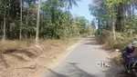 28 Cent land in Poothadi Panchayath
