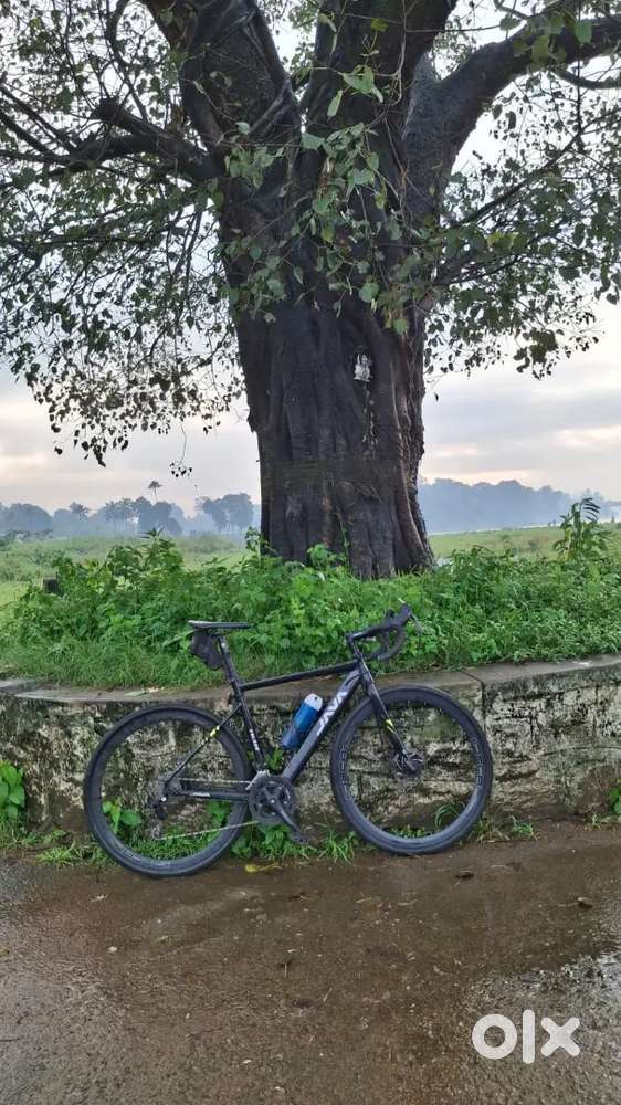 Java veloce 3 decaf roadbike for sale