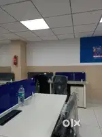 Office Executive
