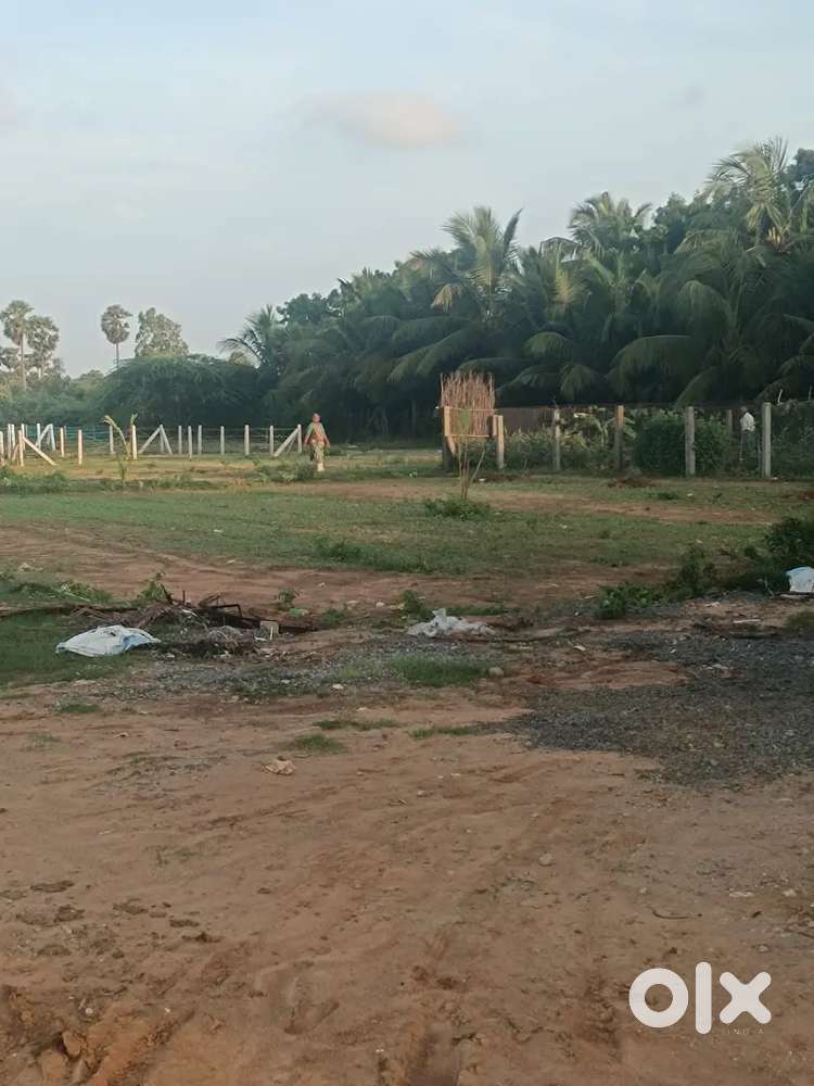 Urgently required 35 acres of land near Ranasthalam