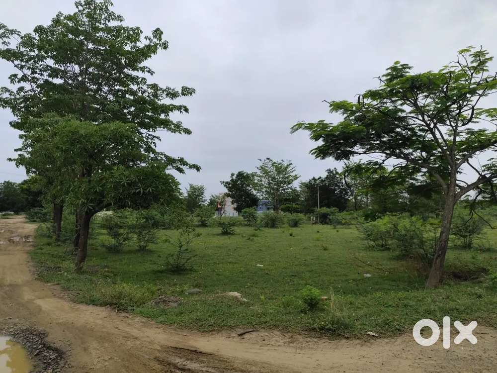 CMDA Approved plot for sale in Thirumazhisai