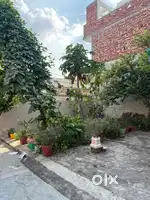 25 feet street