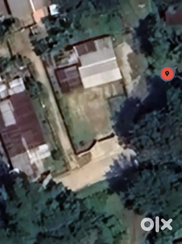 Land Sale Khowang Sonowal kachari Gaon (2.50katha Total Area)