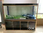 6.5 ft imported tank