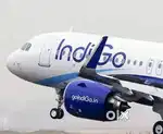 We are hiring for ground staff jobs in Indigo Airlines vacancy