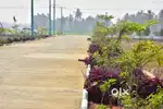 SITE FOR SALE IN BOMMURU