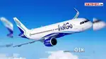 Required for Male and female candidates for indigo Airlines jobs