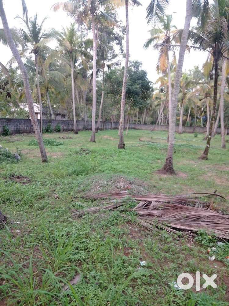 36 cents Prime land for sale at Kazhakkoottam
