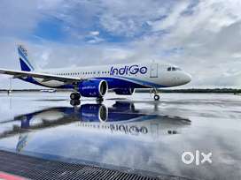 Hiring for indigo Airlines Vacancy driver, Computer operator,CSA