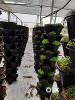 Hydroponic vertical tower