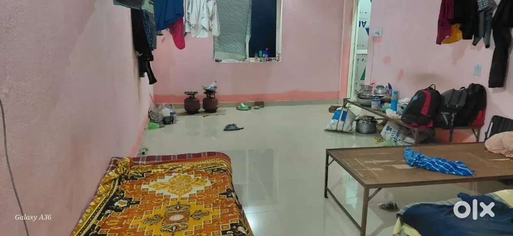 Urgent boy roommate needed