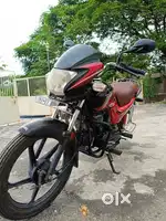 Passion pro bike