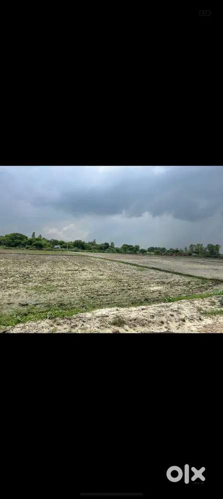 Best for agriculture fresh and valuable land