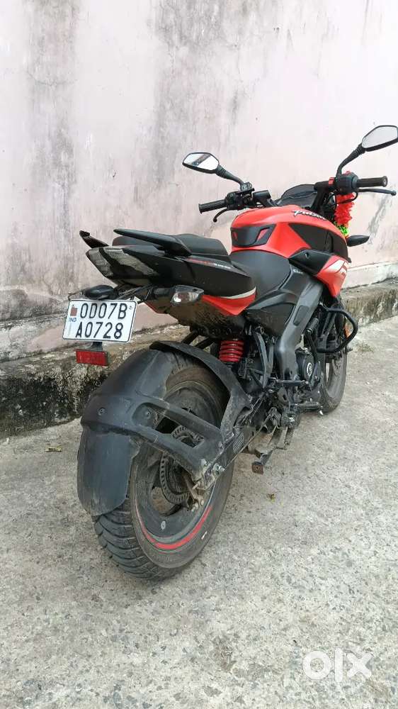 Ns125 3 month old