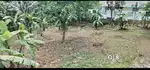 9.800 CENTS PRIME RESIDENTIAL PLOT FOR SALE CARMAL SCHOOL VAZHUTHACAUD