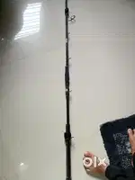 Fishing rod and motor