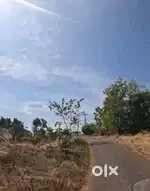 15 cent, 20 cent Housing Plot For sale Madakkanpoyil Perigome