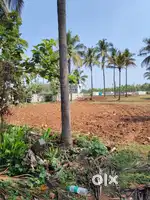 Road side land for sale 1 kunta 1500000 min burchase 6 kunta