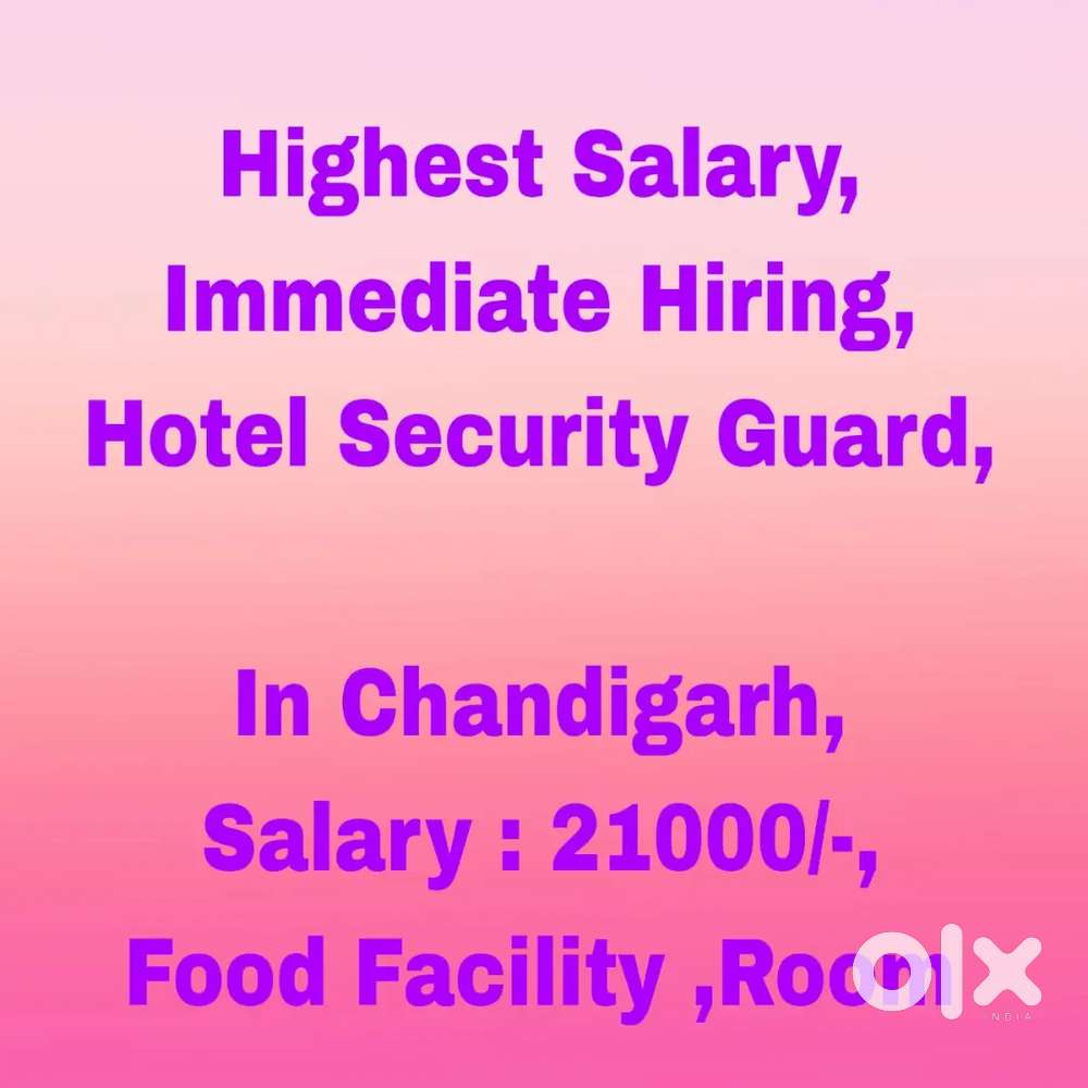 Hotel Security Guard, Chandigarh ,Food facility, Room Adjusted urgent