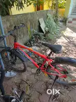 Avon cycle