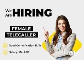 TELECALLER IN IMMIGRATION