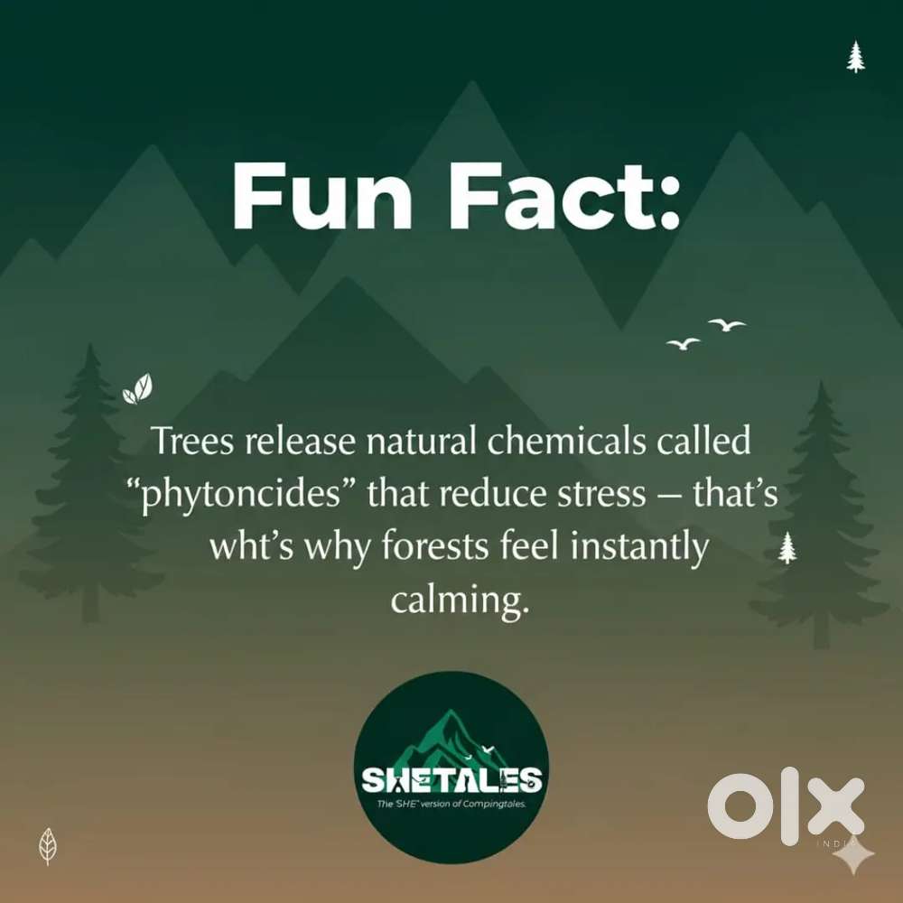 Tellecalling work from home