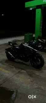 Exhaust custom tail teddy wing mirror