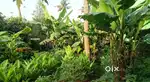 10 cent land in karayamparambu