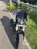 Dominar 250