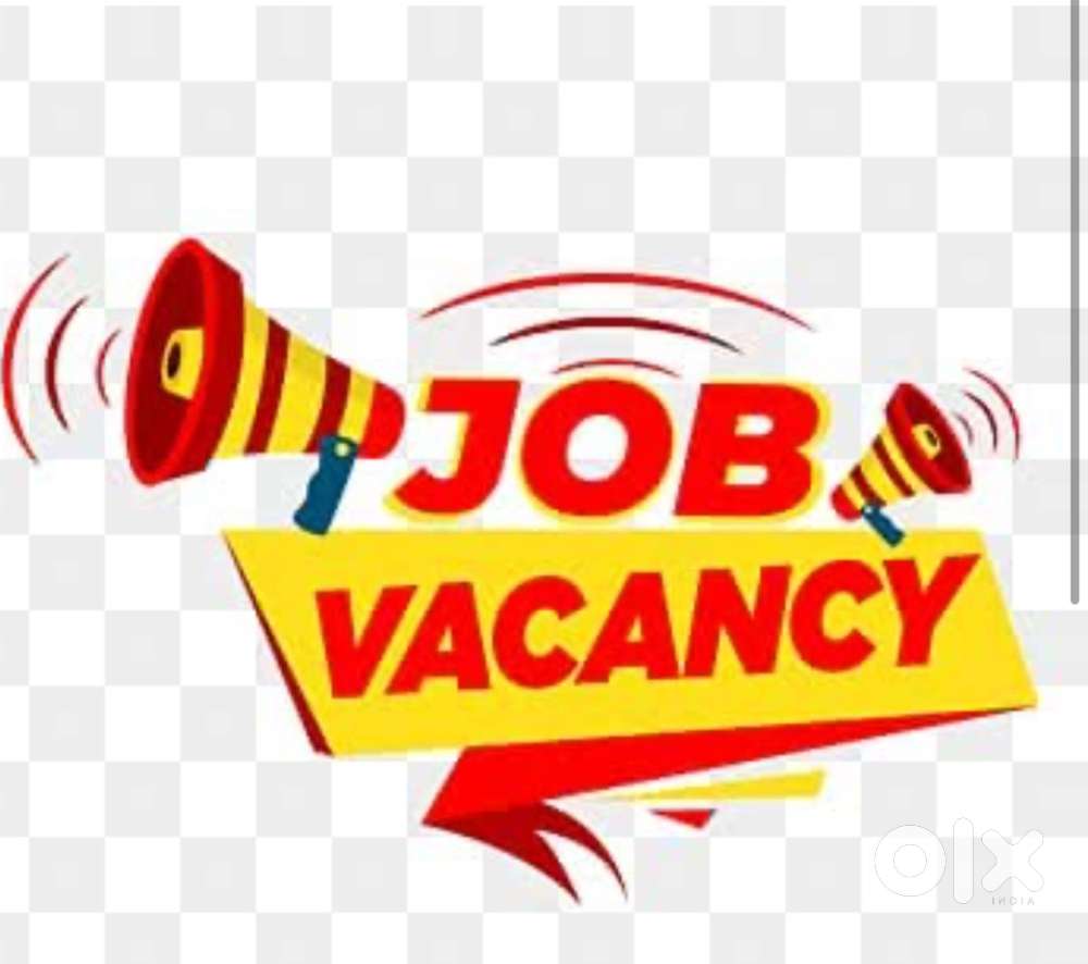 Hiring Alert – Office Assistant