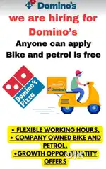 Work with Dominos in your free time