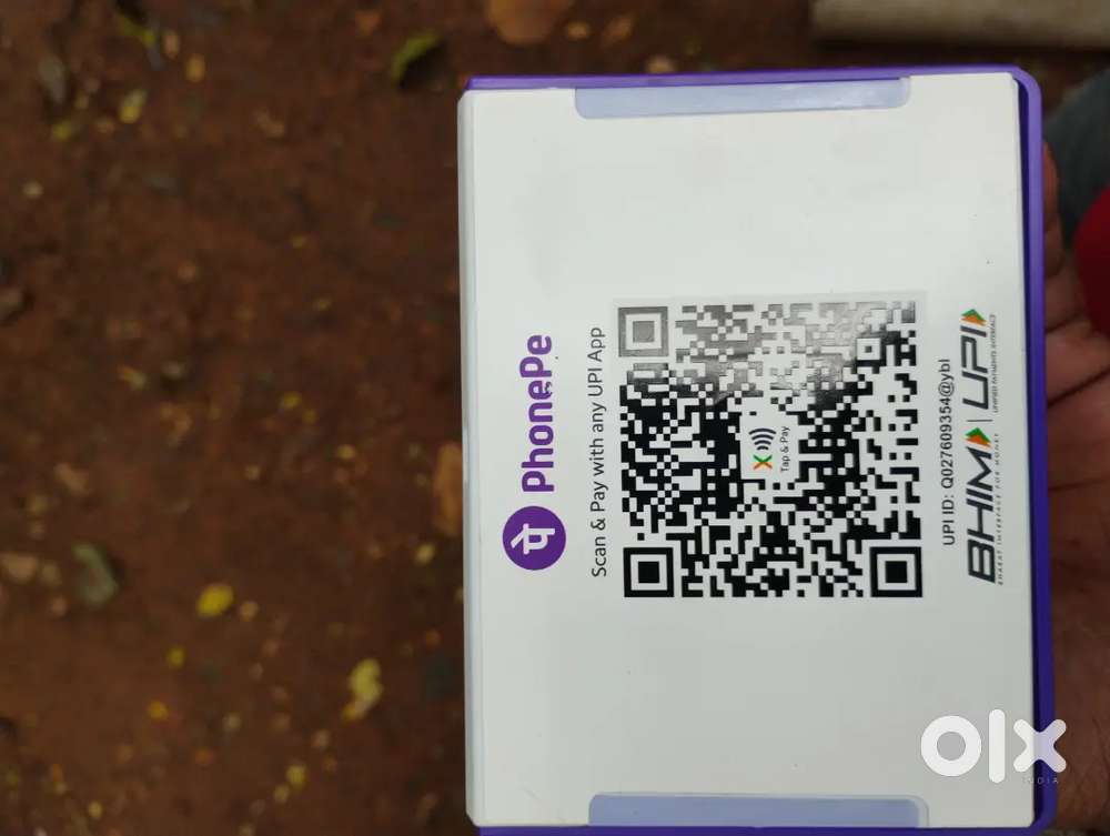 Phonepe business development executive