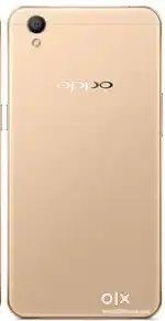 You purchase my phone I am balasing you