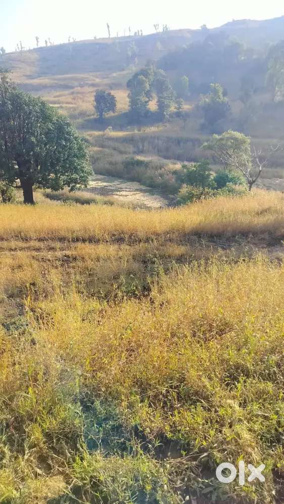 Land for sale in Igatpuri Taluka